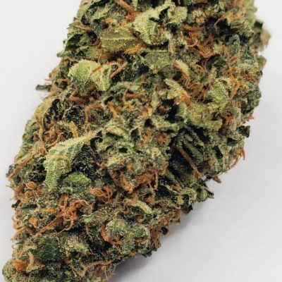 A1o1
