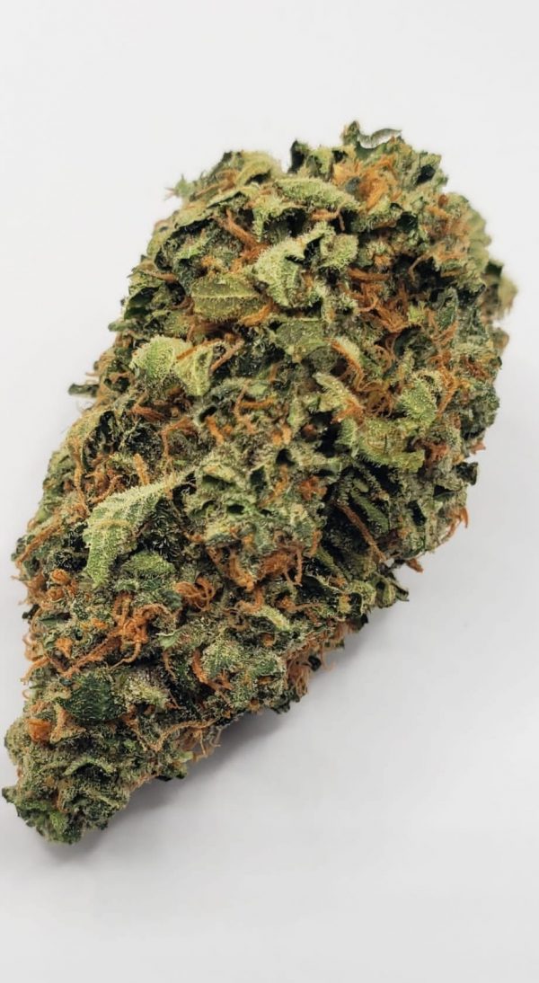 A1o1