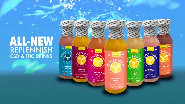 Replennish Beverage - Raspberry Peach - Image 2