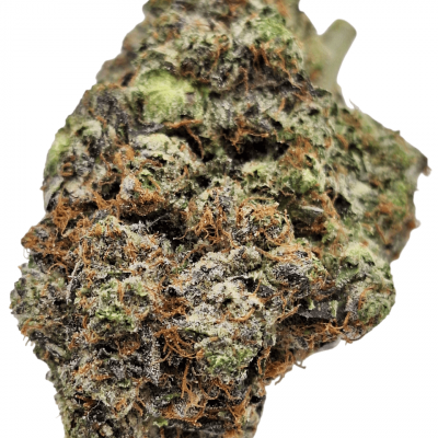 Doughboy pink